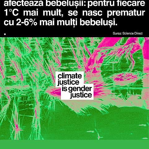 573621735_1249552723867093_6362944136717520716_n